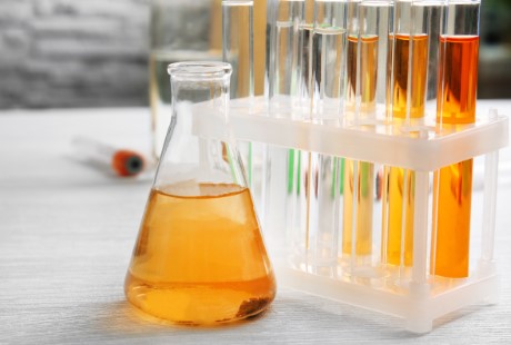 Image hover effect image