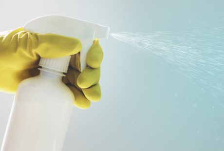 Image hover effect image