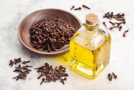 Image hover effect image