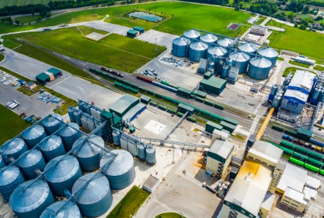 Image hover effect image