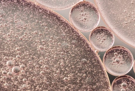 Image hover effect image