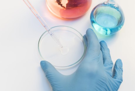 Image hover effect image